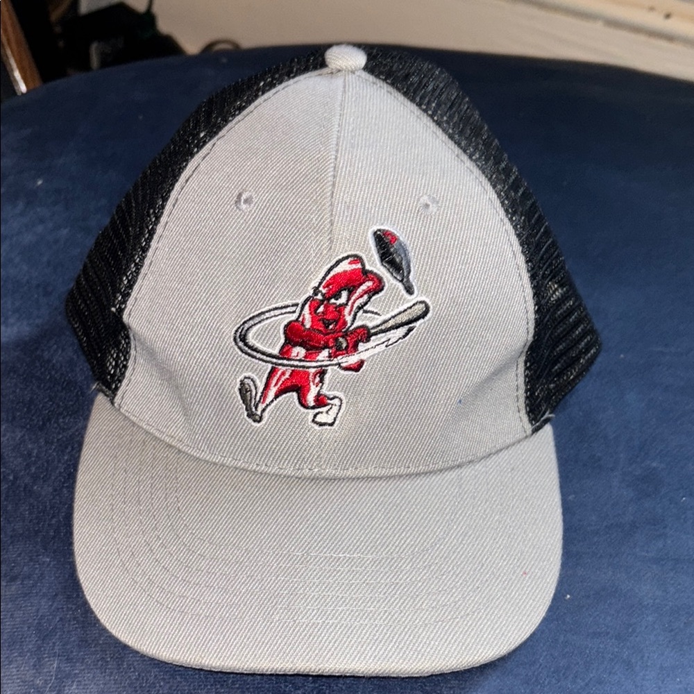 Gray and Black Baseball Cap with Red Embroidery